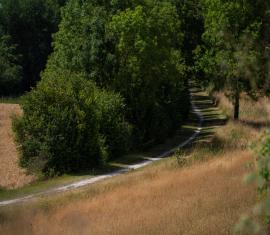 Chemin de liaison inter village