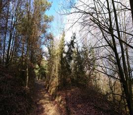 Vue des hauteurs de Neuville