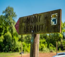 La maison bleue et le bois françon