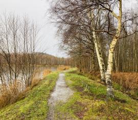 Parc-des-Bruyeres_Fere-en-Tardenois_ADT02 (2)