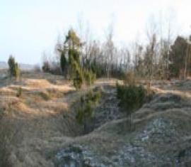 Pelouses calcicoles < Chermizy < Aisne < Picardie