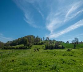 Prairies de Bouffignereux