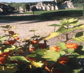 LE JARDIN A L'ABBAYE DE VAUCLAIR