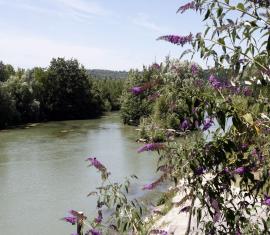 La rivière Aisne