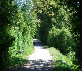 neufchatel 10